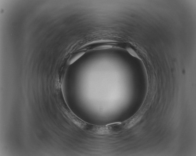 X0000086300384200704091027