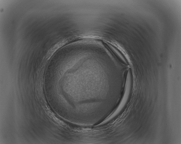 X0000086300385200704091027