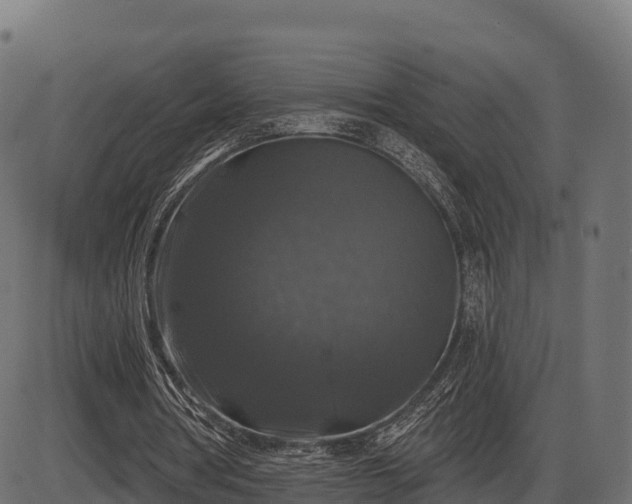 X0000086300386200704091027