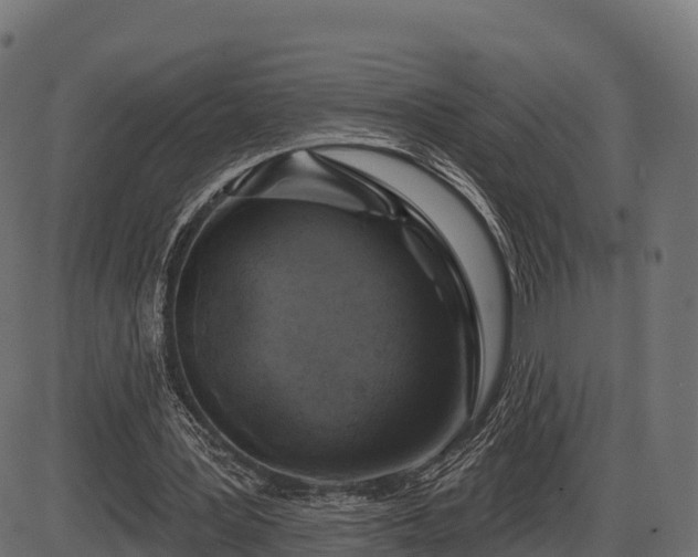 X0000086300387200704091027