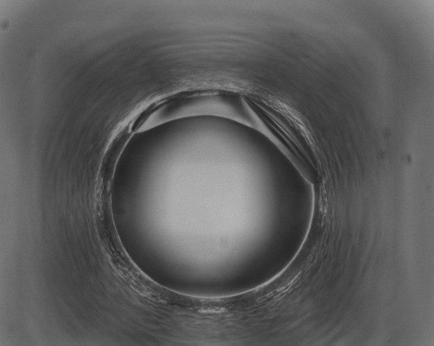 X0000086300388200704091027