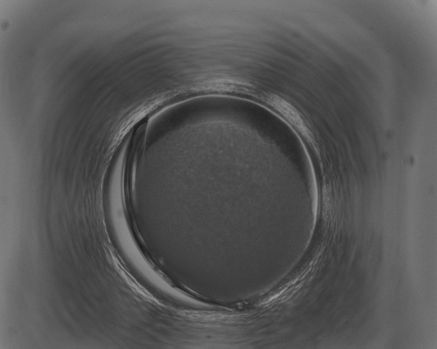 X0000086300389200704091027