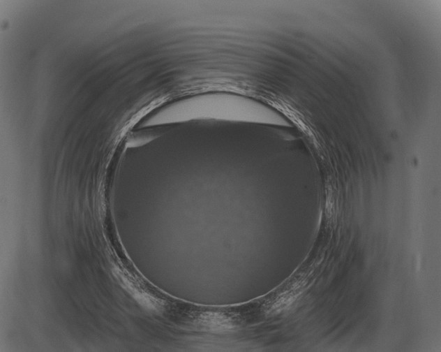 X0000086300390200704091027