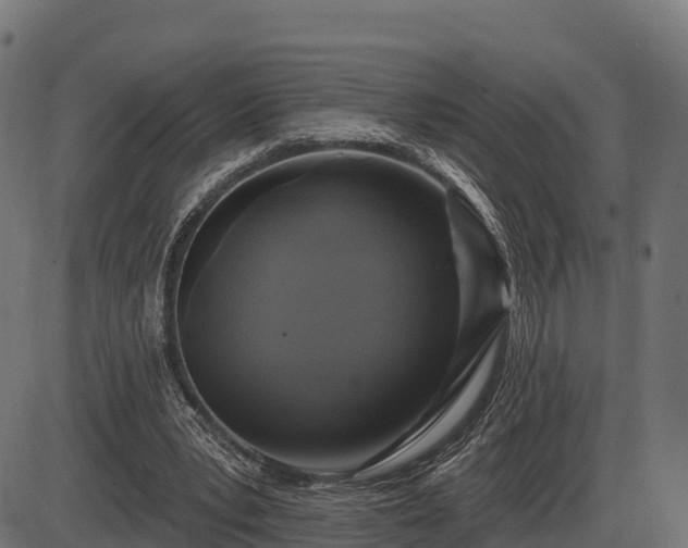 X0000086300391200704091027