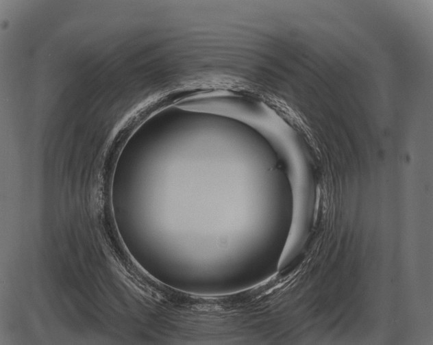 X0000086300392200704091027