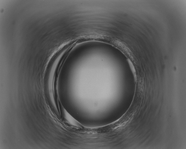 X0000086300395200704091026