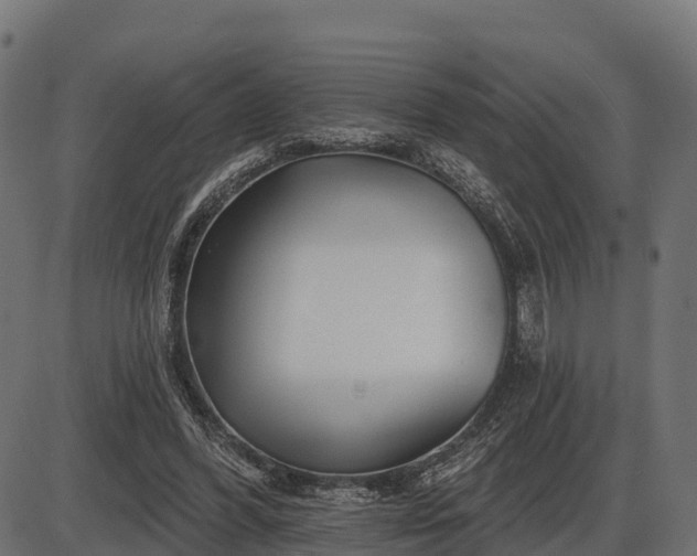 X0000086300396200704091026