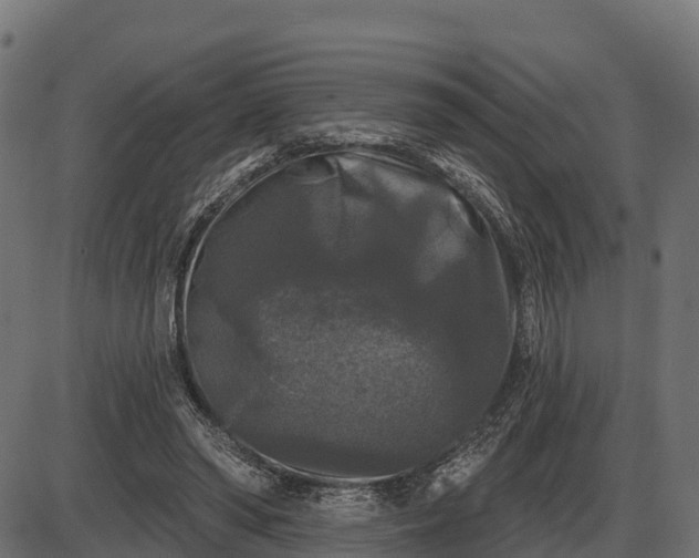 X0000086300398200704091026