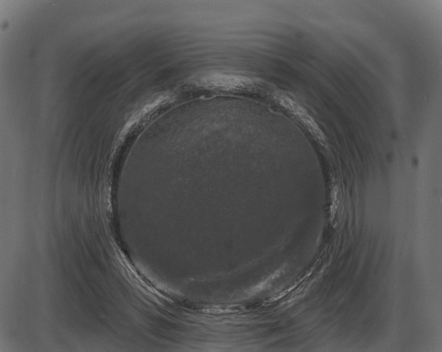 X0000086300399200704091026