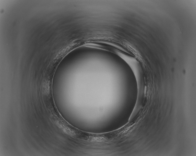 X0000086300401200704091026