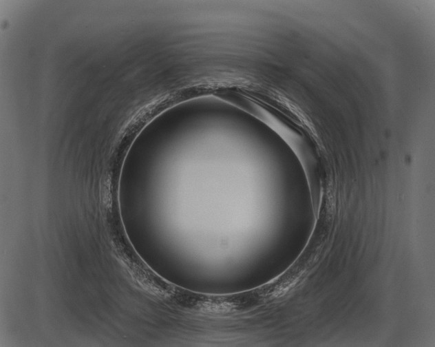 X0000086300403200704091026