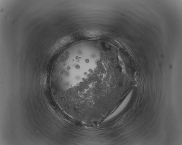 X0000086300404200704091026