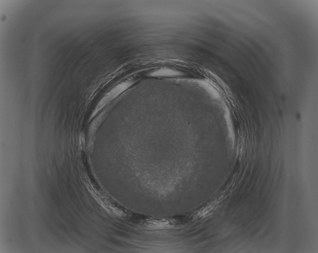 X0000086300405200704091026