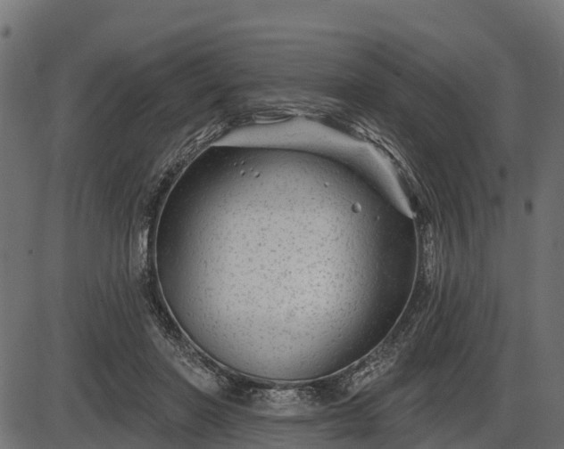 X0000086300406200704091026