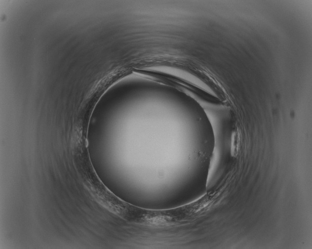 X0000086300407200704091026