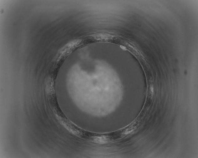 X0000086300411200704091026