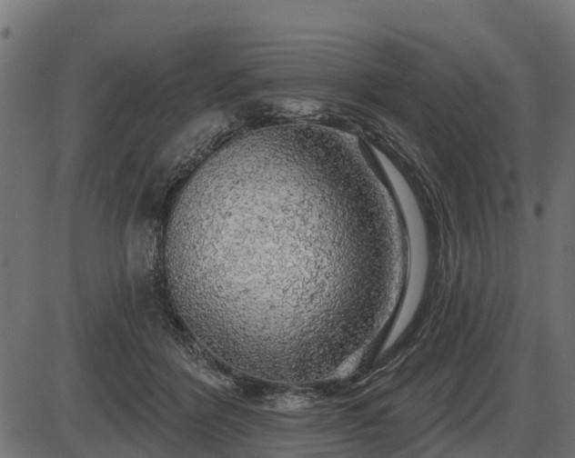 X0000086300412200704091026