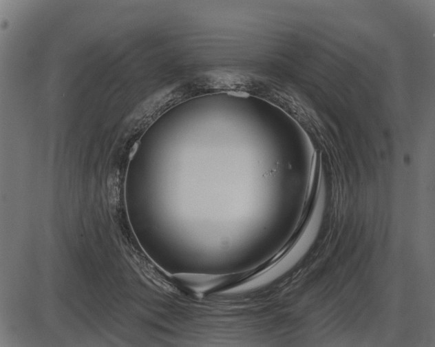 X0000086300413200704091026