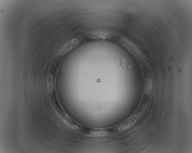 X0000086300414200704091026