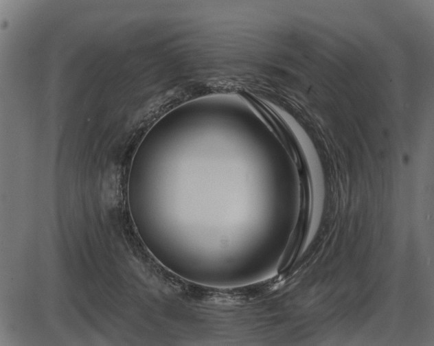 X0000086300416200704091026