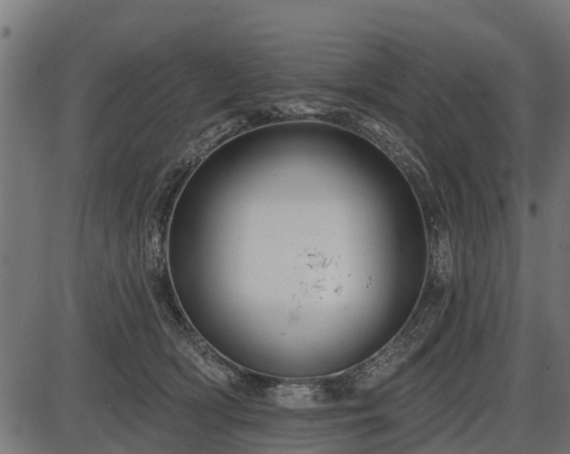 X0000086300418200704091026