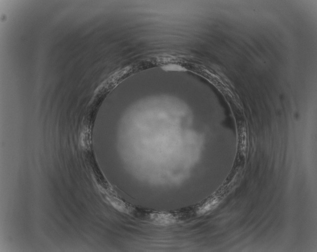 X0000086300419200704091026