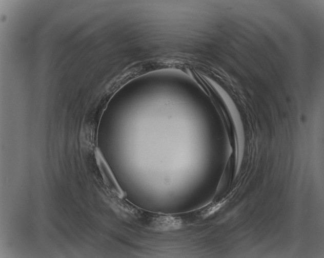 X0000086300421200704091026