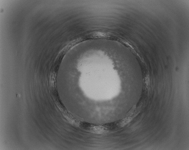 X0000086300423200704091026