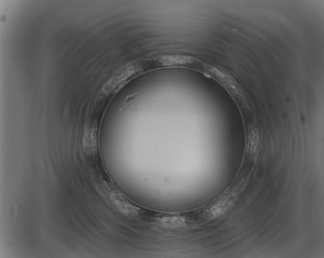 X0000086300426200704091026