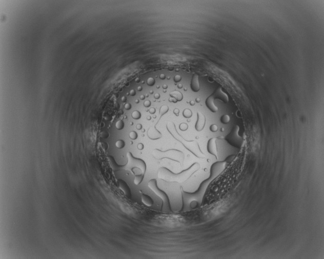 X0000086300427200704091026