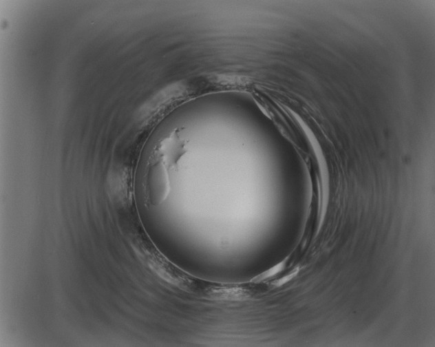 X0000086300428200704091026