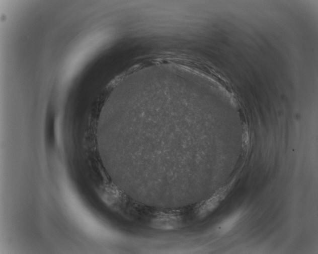 X0000086300431200704091026