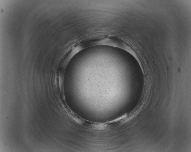 X0000086300432200704091026