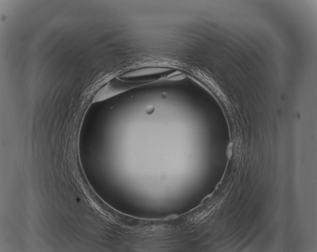 X0000086300433200704091025