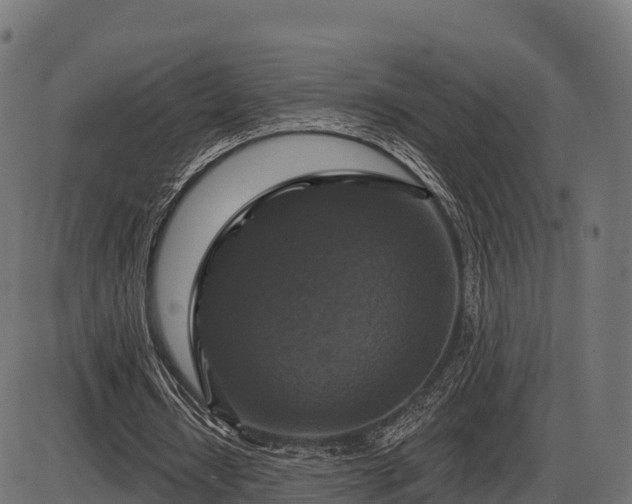 X0000086300434200704091025