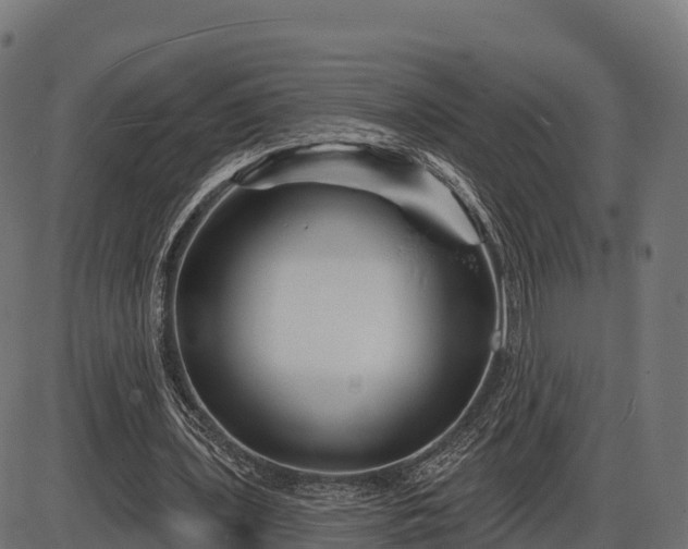 X0000086300435200704091025