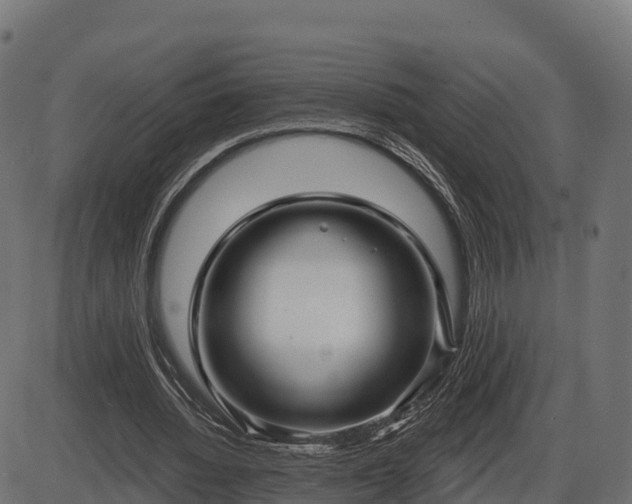 X0000086300436200704091025