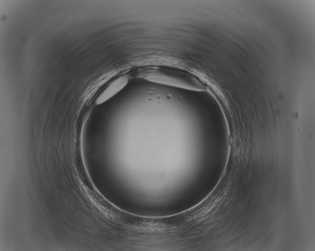 X0000086300437200704091025