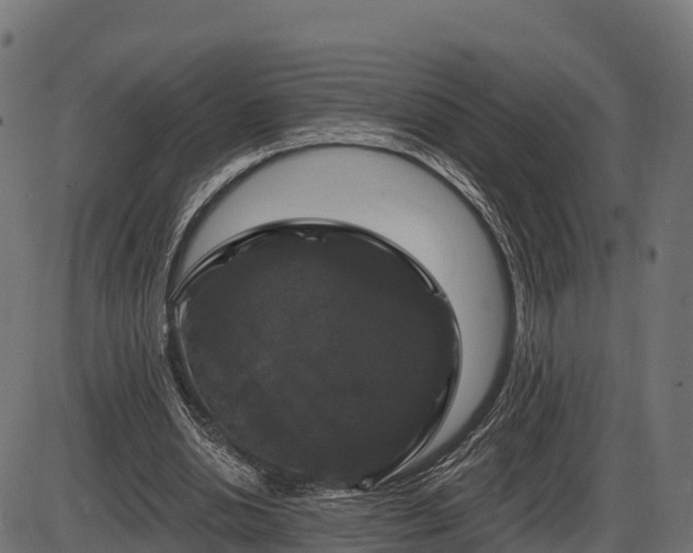 X0000086300438200704091025