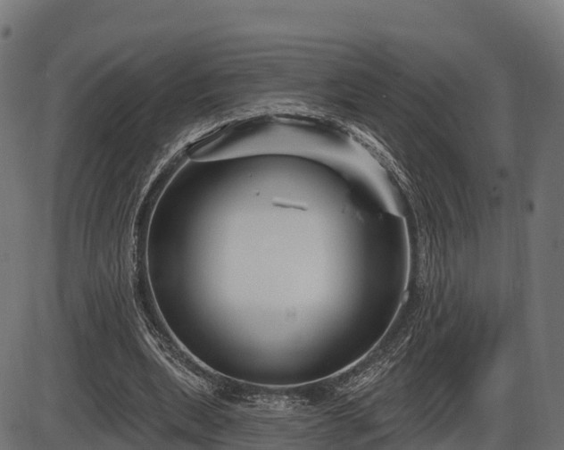 X0000086300439200704091025