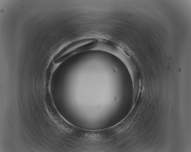 X0000086300440200704091025