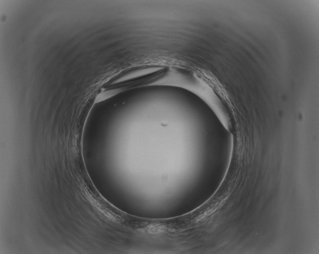 X0000086300441200704091025