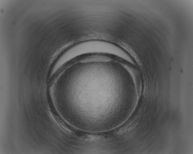 X0000086300442200704091025