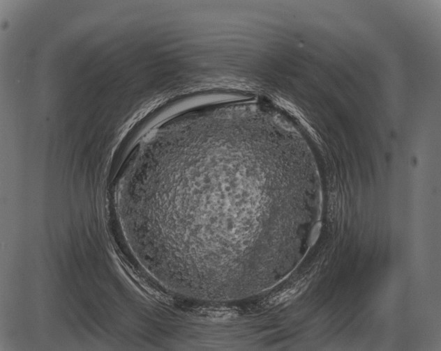 X0000086300443200704091025