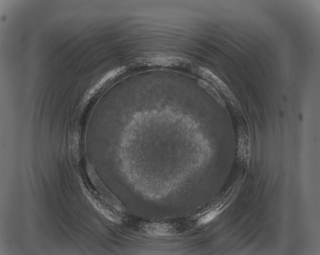 X0000086300444200704091025