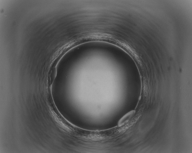 X0000086300445200704091025