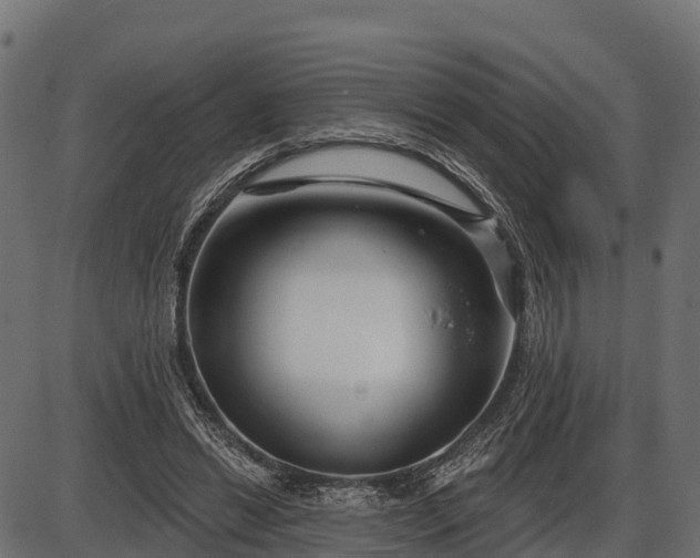 X0000086300446200704091025