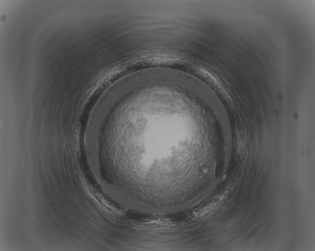 X0000086300447200704091025