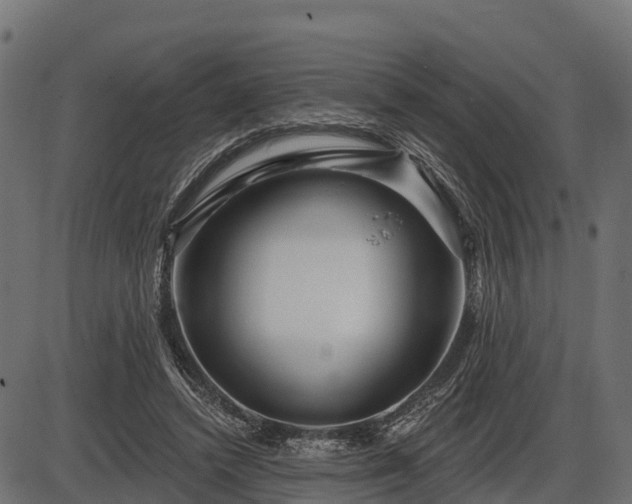 X0000086300448200704091025