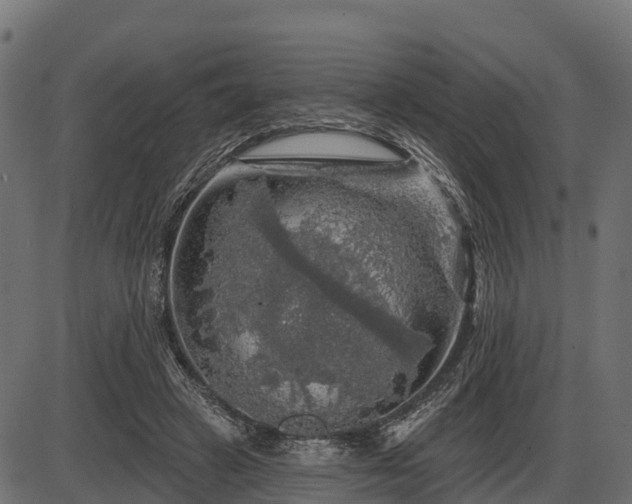 X0000086300449200704091025